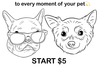 draw vector line art dog or pet portraits