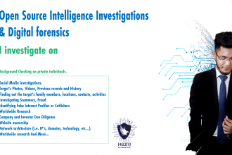 do osint investigation on any target you provide and provide a report