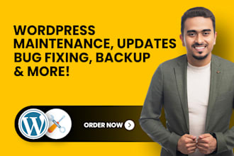 do wordpress maintenance, updates, bug fixing, backup and speed optimization