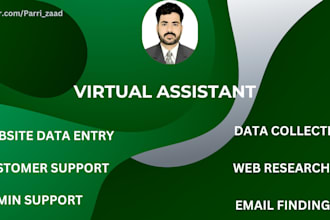 be virtual assistant, data entry, copy paste, web research, airtable