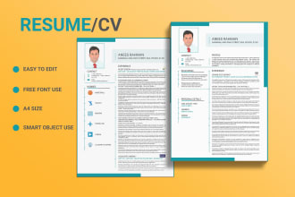 create a professional resume that is clean, modern, and energetic