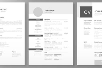 write, edit your executive CV, resume, cover letter and linkedin profile