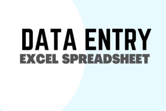 data entry using excel spreadsheet