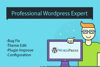 be your wordpress developer and bug fixer