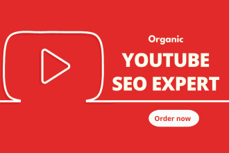 be your youtube SEO expert for organic video ranking