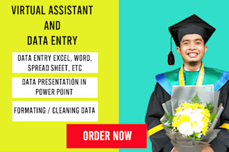 help you to entry your data in microsoft excel