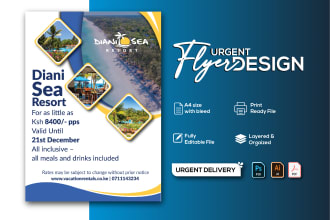 design amazing urgent flyer brochure or poster within 6 hours