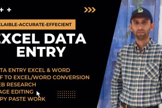 do excel or word data entry, convert documents, copy paste