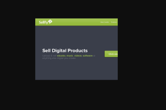 set up, build, design shopify, pod, sellfy, and godaddy store ecwid store