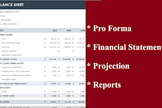 build proforma or financial statements or projection