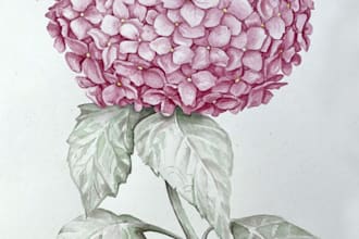 create images of flowers