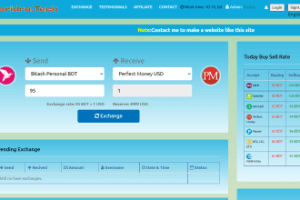 be your currency exchange website design