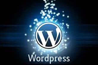 customize Wordpress, fix wp error, edit theme,template or css