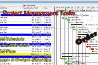 create gantt chart,wbs,work schedule  with primavera p6