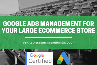 manage google ads for your large ecommerce store