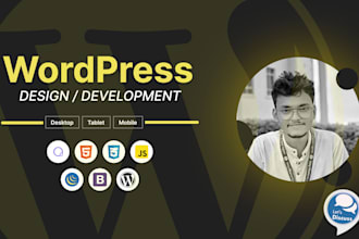 design and fix your wordpress website
