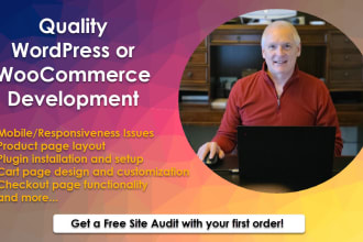 consult on or modify pages for your wordpress or woocommerce site