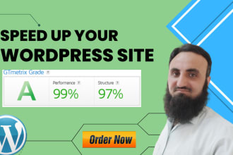 do wp speed optimization and speed up wordpress site