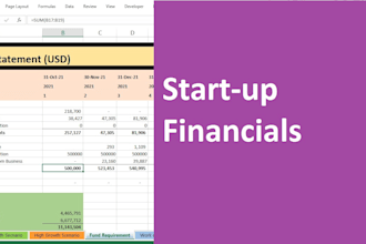 prepare startup financial report for investors