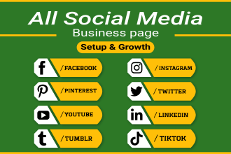 setup instagram business page, facebook page and be social media manager