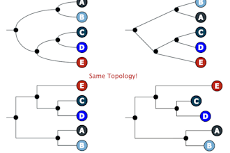 do your phylogenetic analysis, correct genebank sequences