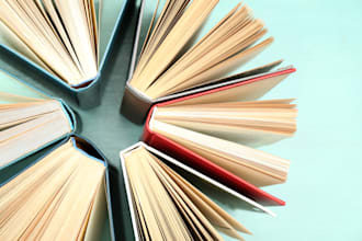 beta read your book and provide a comprehensive report addressing your concerns