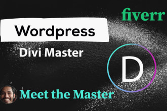 design customize wordpress website by divi theme or builder