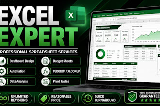 microsoft excel expert professional