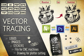 manual vector redraw, vector tracing, vectorize an image