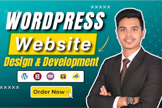 design a professional wordpress business website