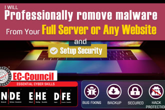 remove malware from your full server wordpress websites and set up security