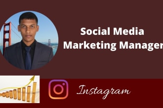 do supper fast instagram promotion and organic growth