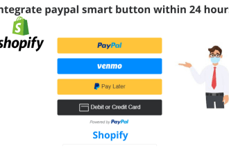 integrate debit credit payment paypal smart button on shopify