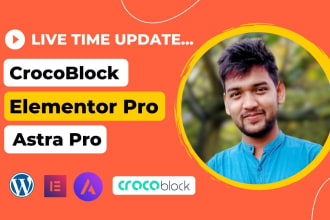 create elementor pro, astra pro, crocoblock website with woocommerce