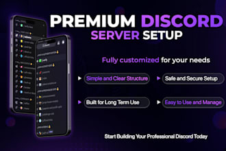 setup a professional custom discord server