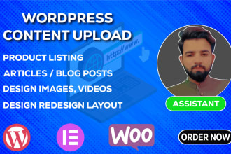 be VA for wordpress content upload, product listing, design images using canva