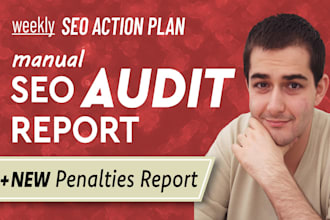 create an expert SEO audit report with penalty checks and action plan