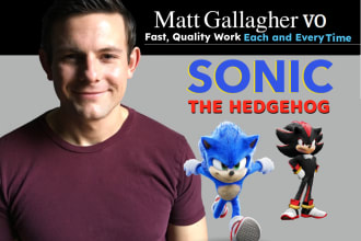 voice your project as sonic or shadow the hedgehog