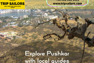 be your local tour guide for pushkar, rajasthan, india