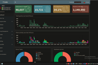 install pi hole , portainer , rpi , on nas or vps or selfhosted