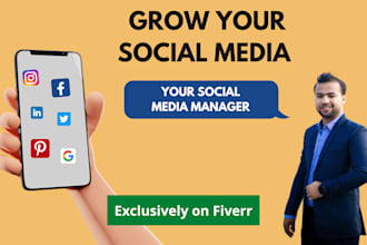 be your instagram facebook social media page manager