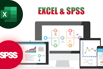 do spss and ms office work
