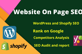 do perfect on page SEO for wordpress and shopify website