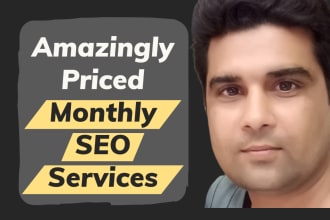deliver amazingly priced monthly SEO services