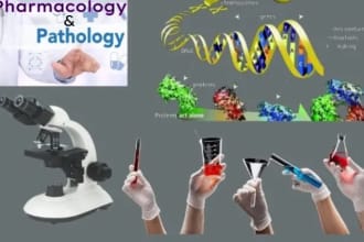 teach pharmacology, pathology, anatomy, biochemistry