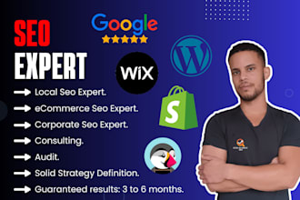 do the work of a seo expert