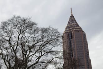 take a photograph of anything in Atlanta