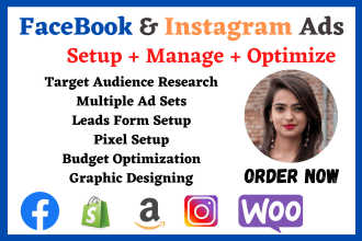 setup and manage high quality fb ads, fb advertising