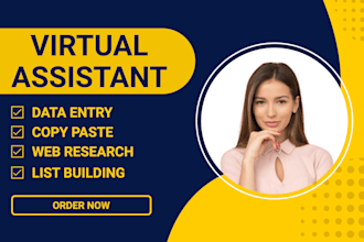 do data entry, copy paste, web research, list building and lead generation