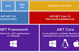 aspnet mvc expert for you